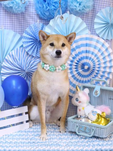 20231108シュウくん